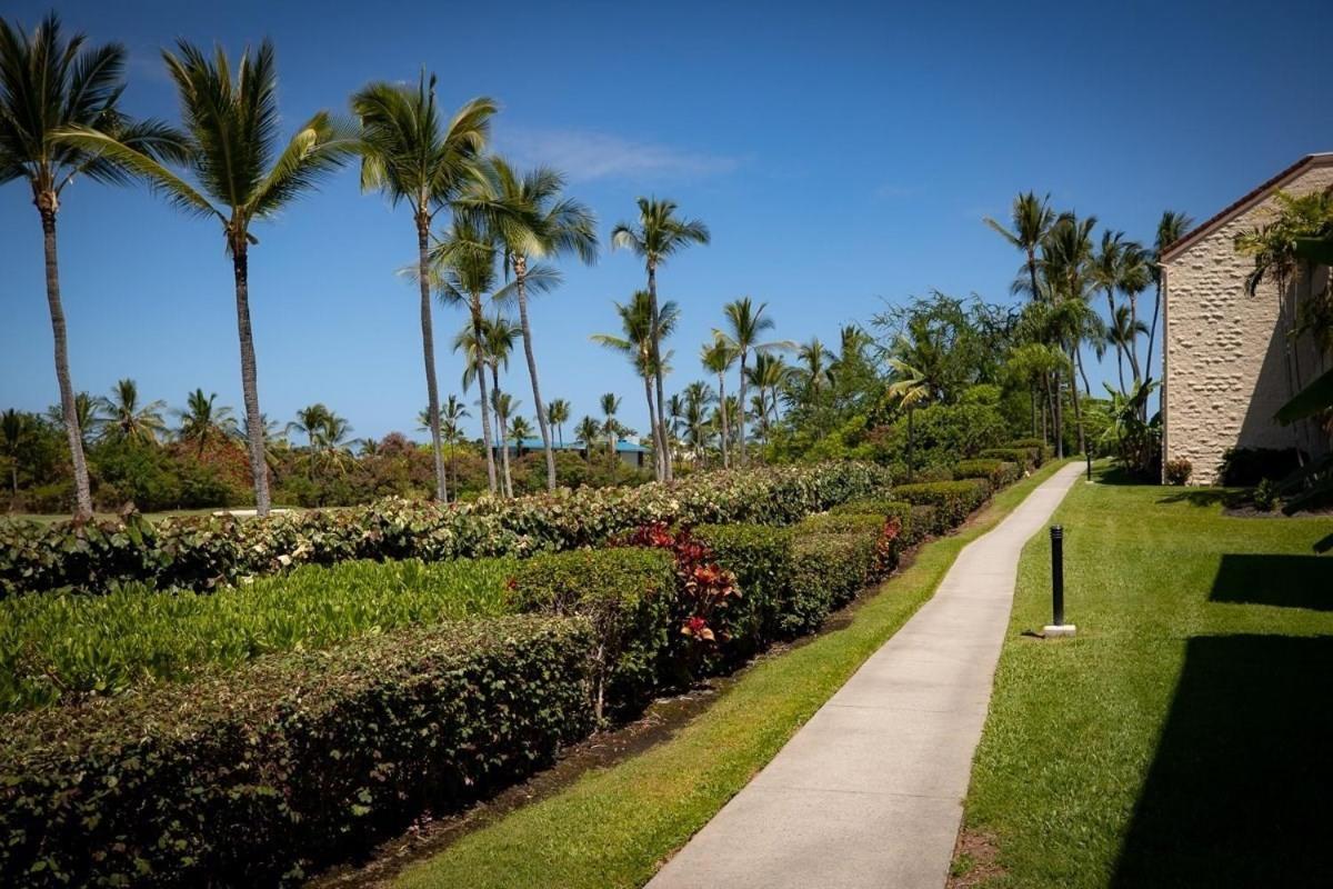 Newly Renovated Condo With Sup Paddle Boards And Golf Clubs Included Kailua-Kona Exterior foto